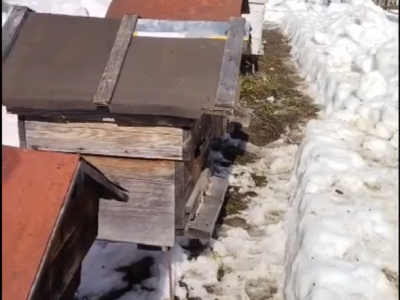 Сезон 2025 открыт!